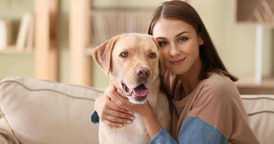 Kiedy fizjoterapia zwierzęcia jest wskazana? Sygnały, na które warto reagować