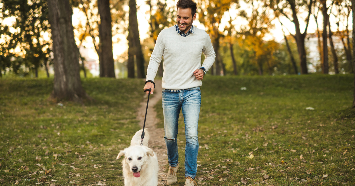 Dlaczego spacer z psem może powodować przeciążenia układu ruchu?